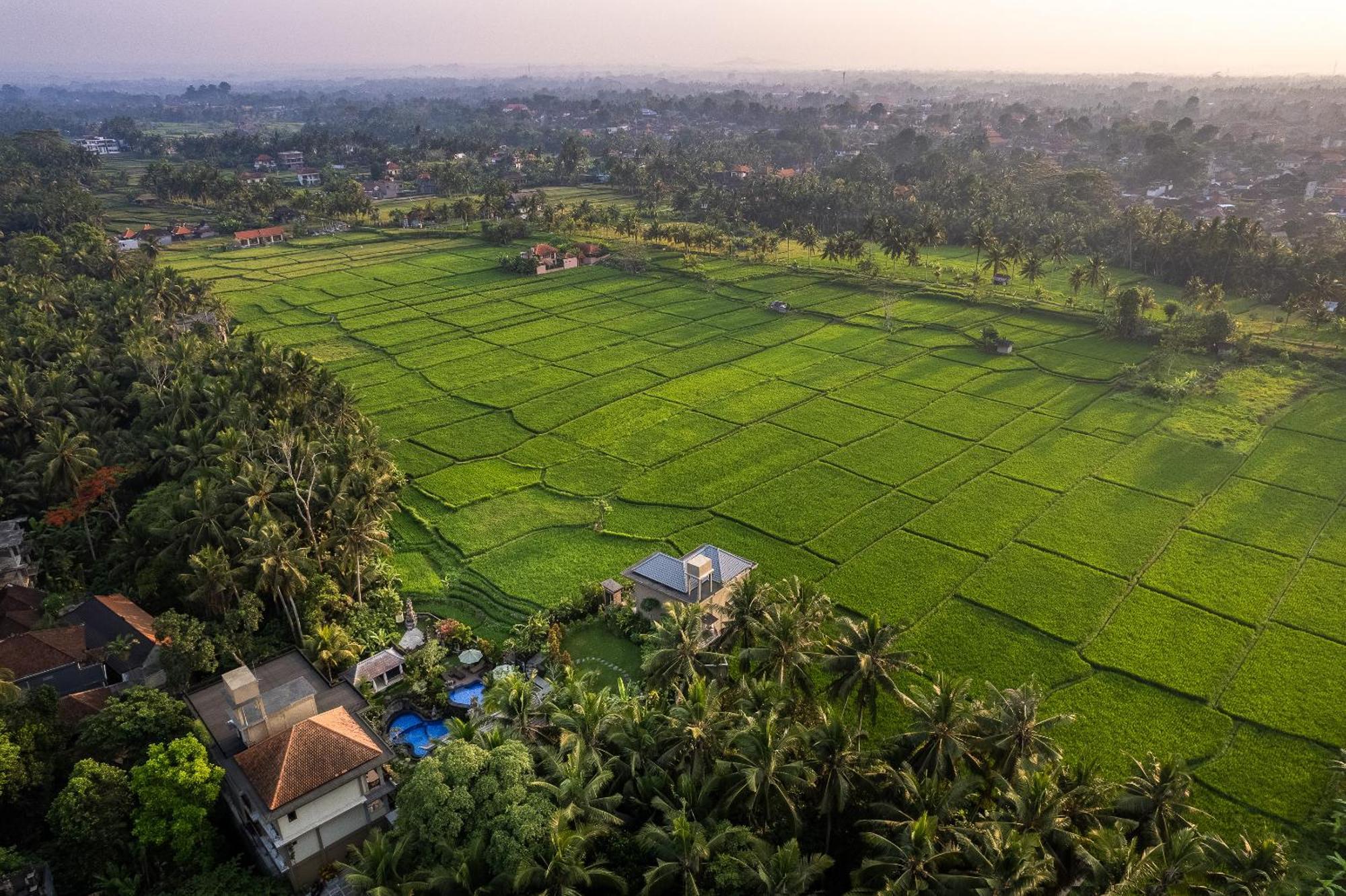 Gynandha Ubud Cottage ภายนอก รูปภาพ