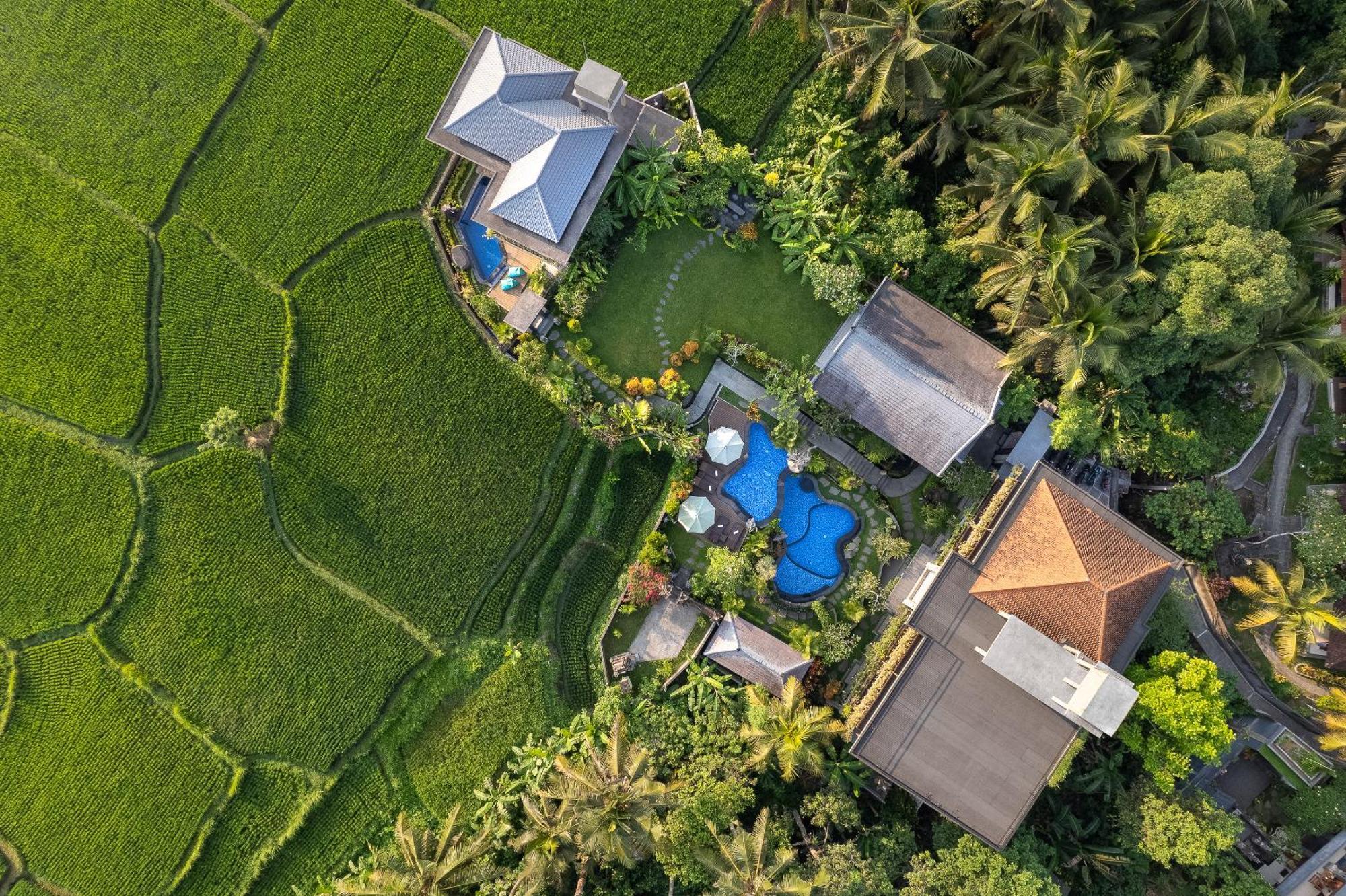 Gynandha Ubud Cottage ภายนอก รูปภาพ